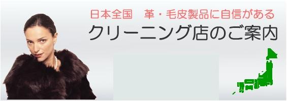 革クリーニング